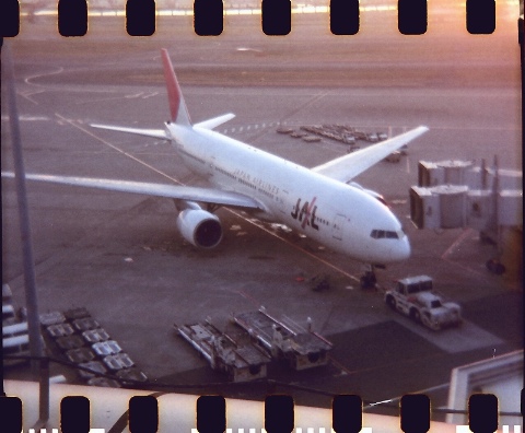 ĤHolga 2009/01/28-1